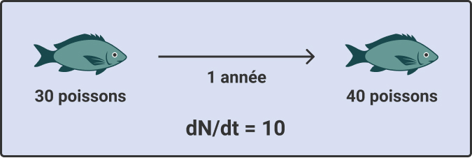 Variation de la taille d’une population de poissons (N) de 30 à 40 poissons en un an (t), ce qui correspond à un taux de croissance de la population (ΔN/Δt) de 10 poissons par année.